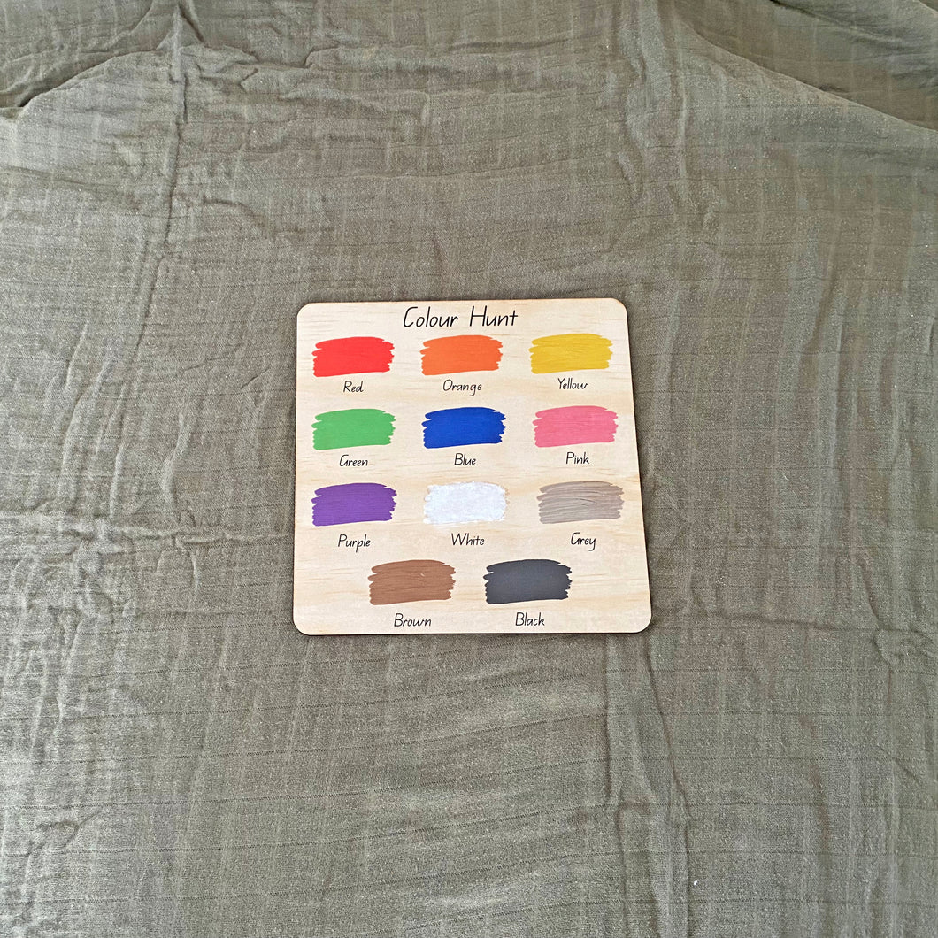 Colour Hunt Activity Board